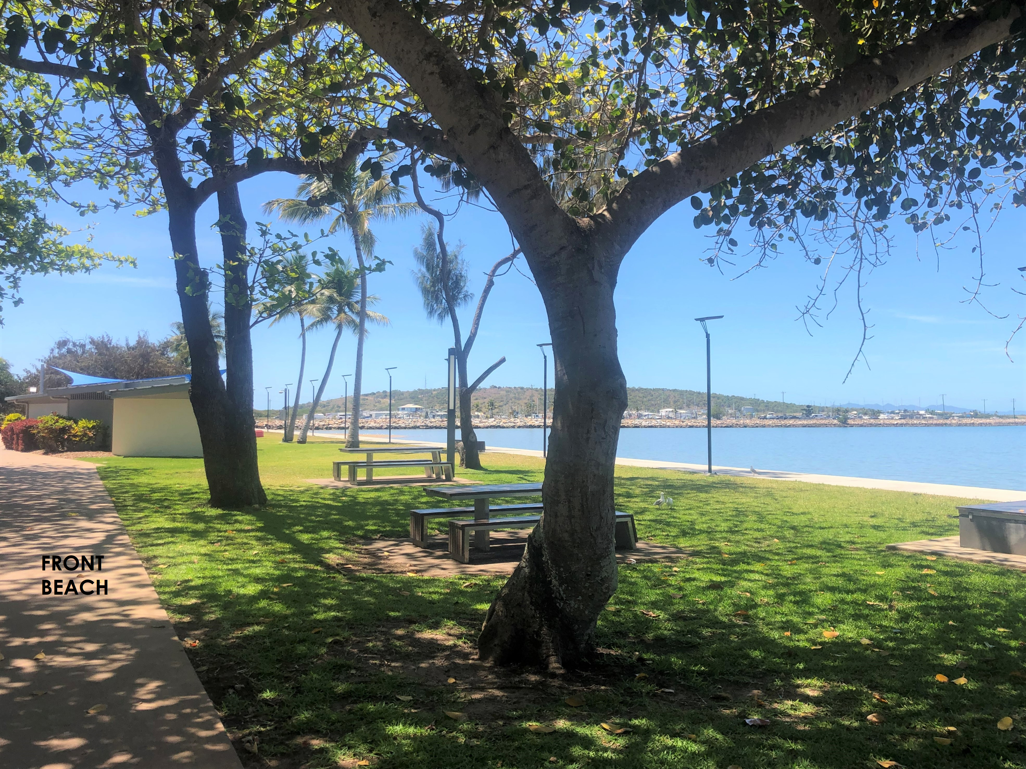 Surprise Package - Reduced !