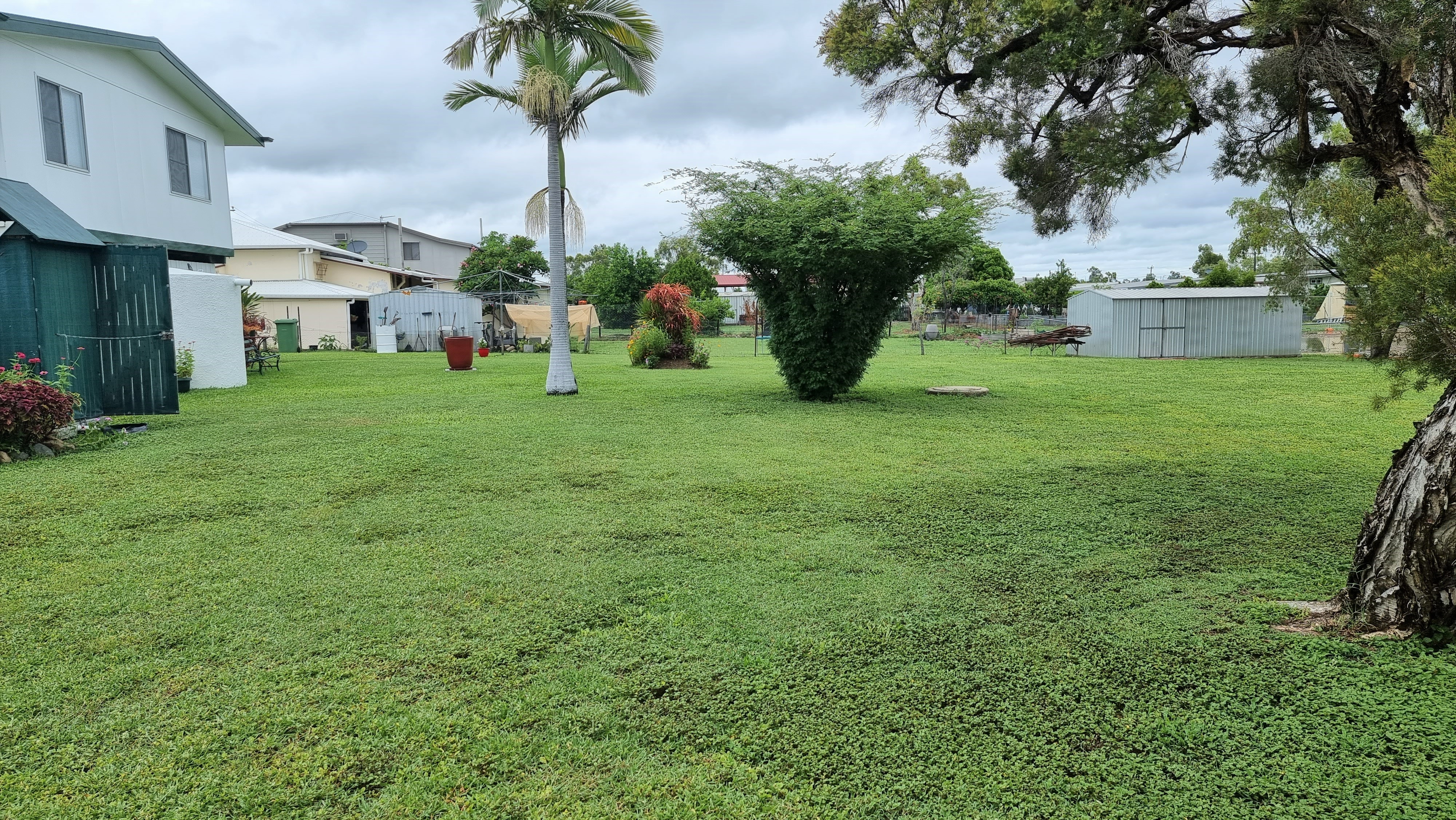 Picture Perfect Presentation