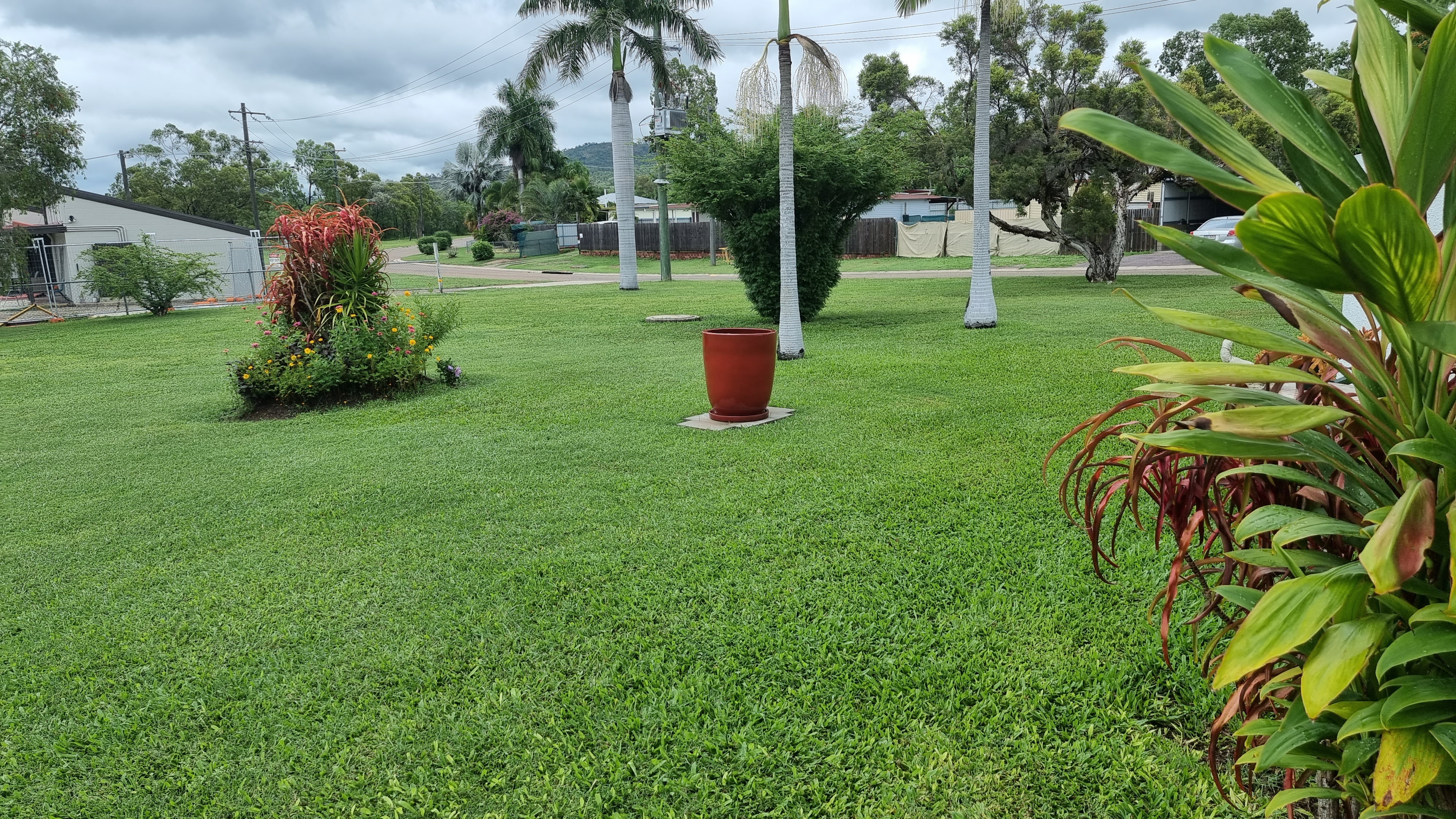 Picture Perfect Presentation