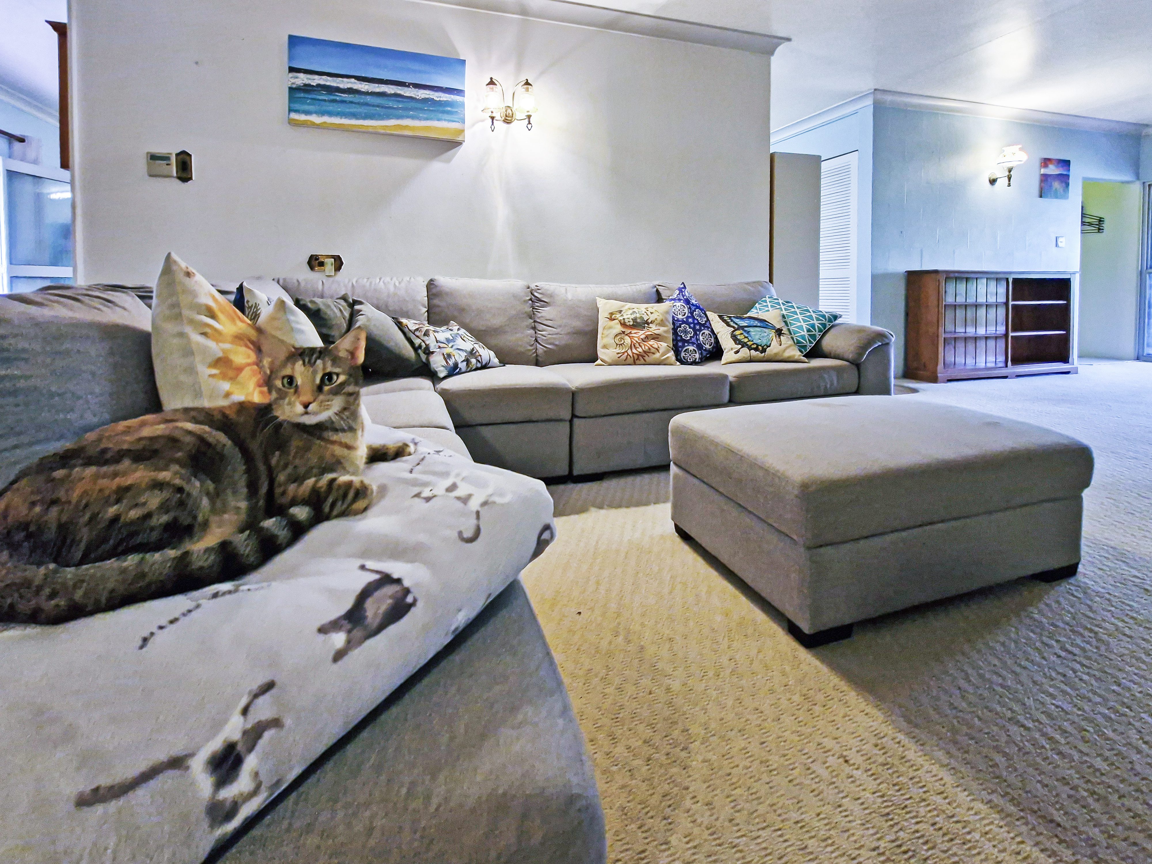 Spacious 5-Acres with Solid Block Home, Income-Generating Studio, and Extensive Sheds & Machinery