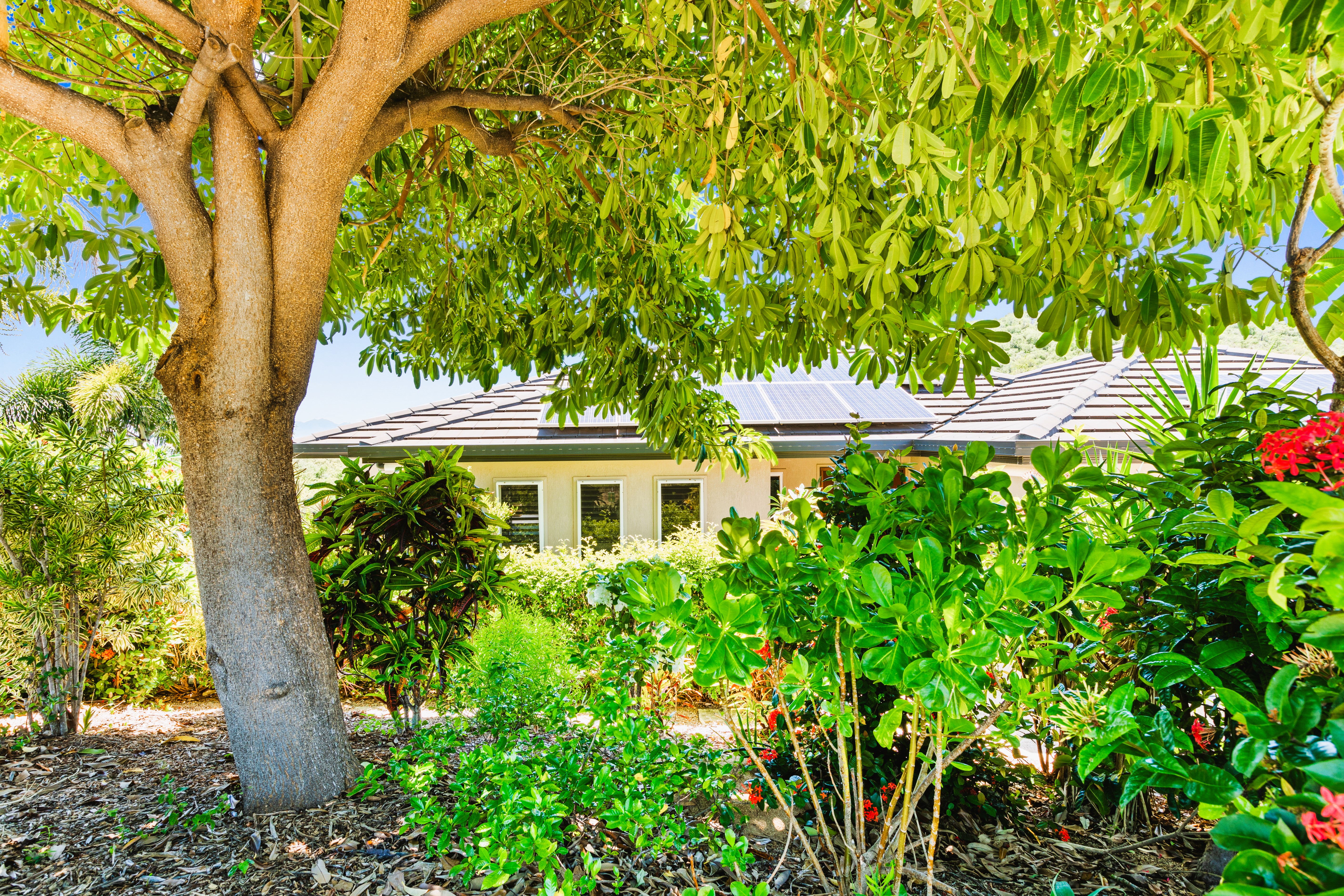 Breezy, Open-Concept Living Complete with Pool and Unbeatable Ocean Views!