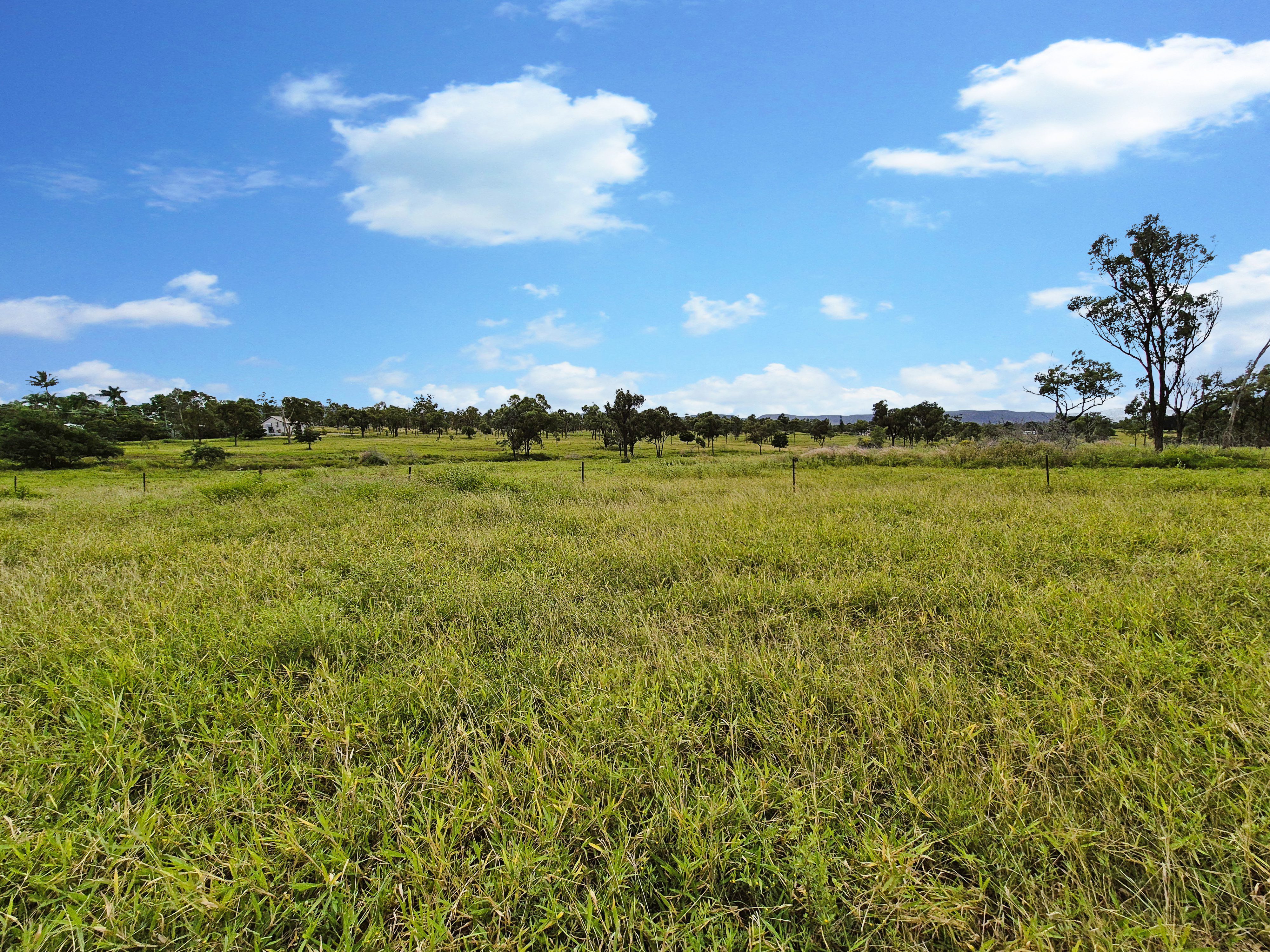 Escape the City - Saddle Up for Serenity