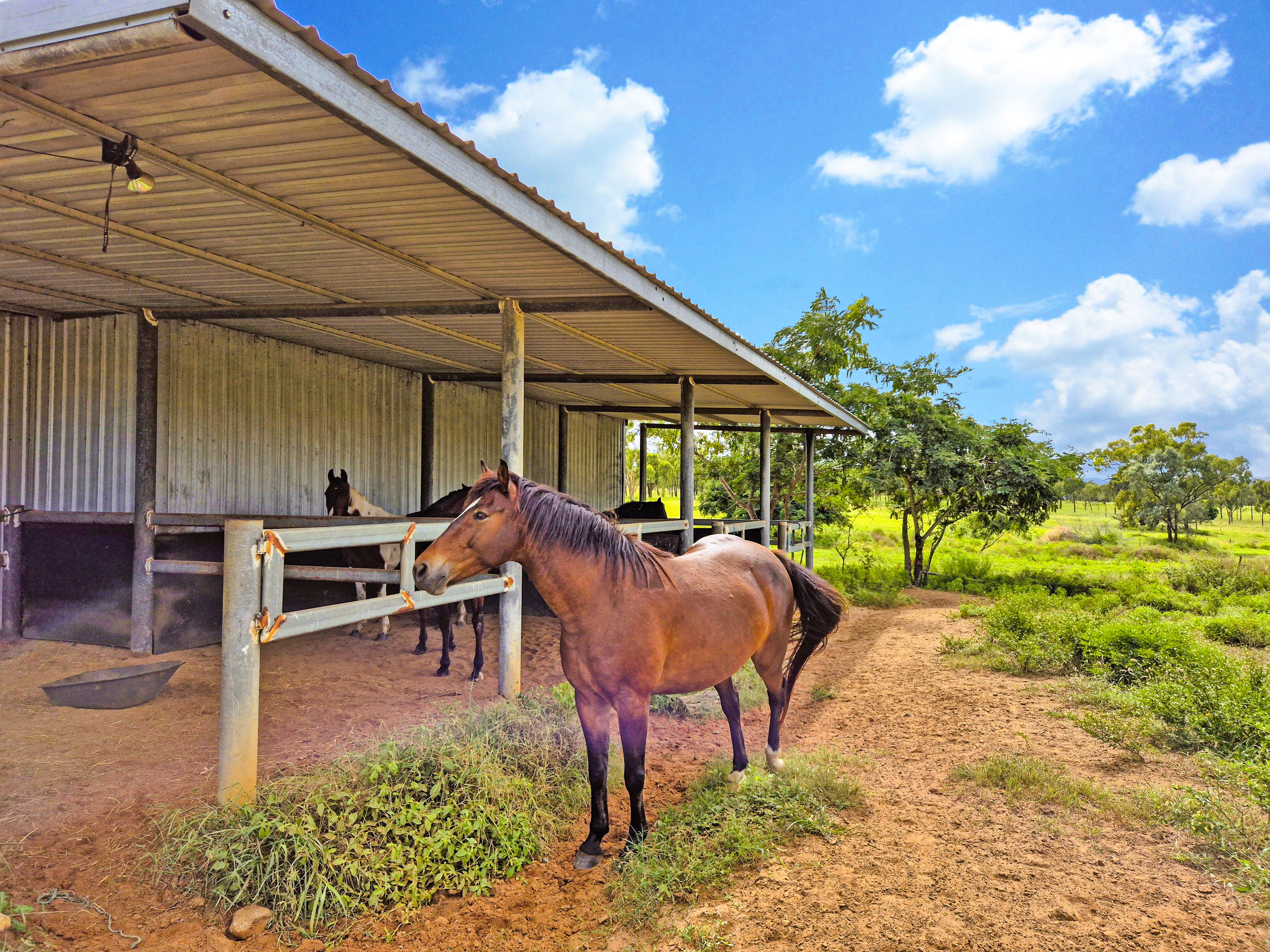 Escape the City - Saddle Up for Serenity