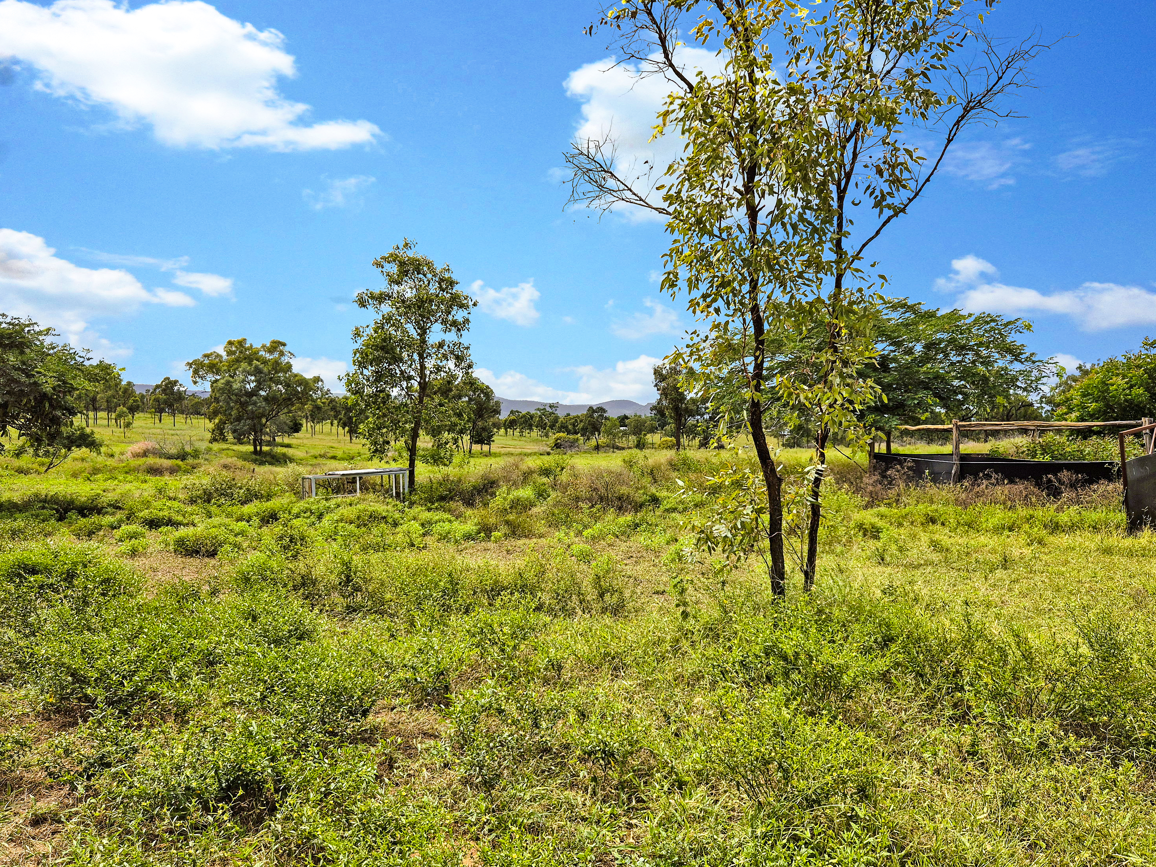 Escape the City - Saddle Up for Serenity