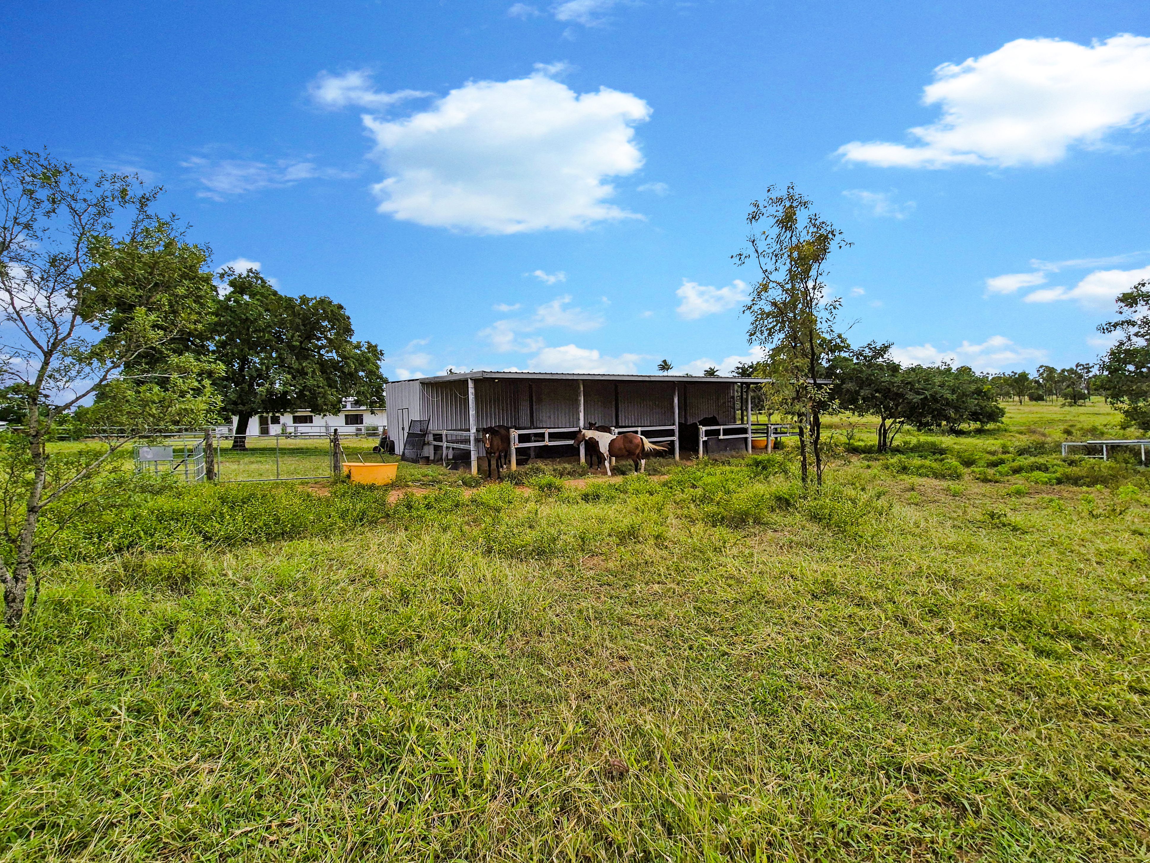 Escape the City - Saddle Up for Serenity