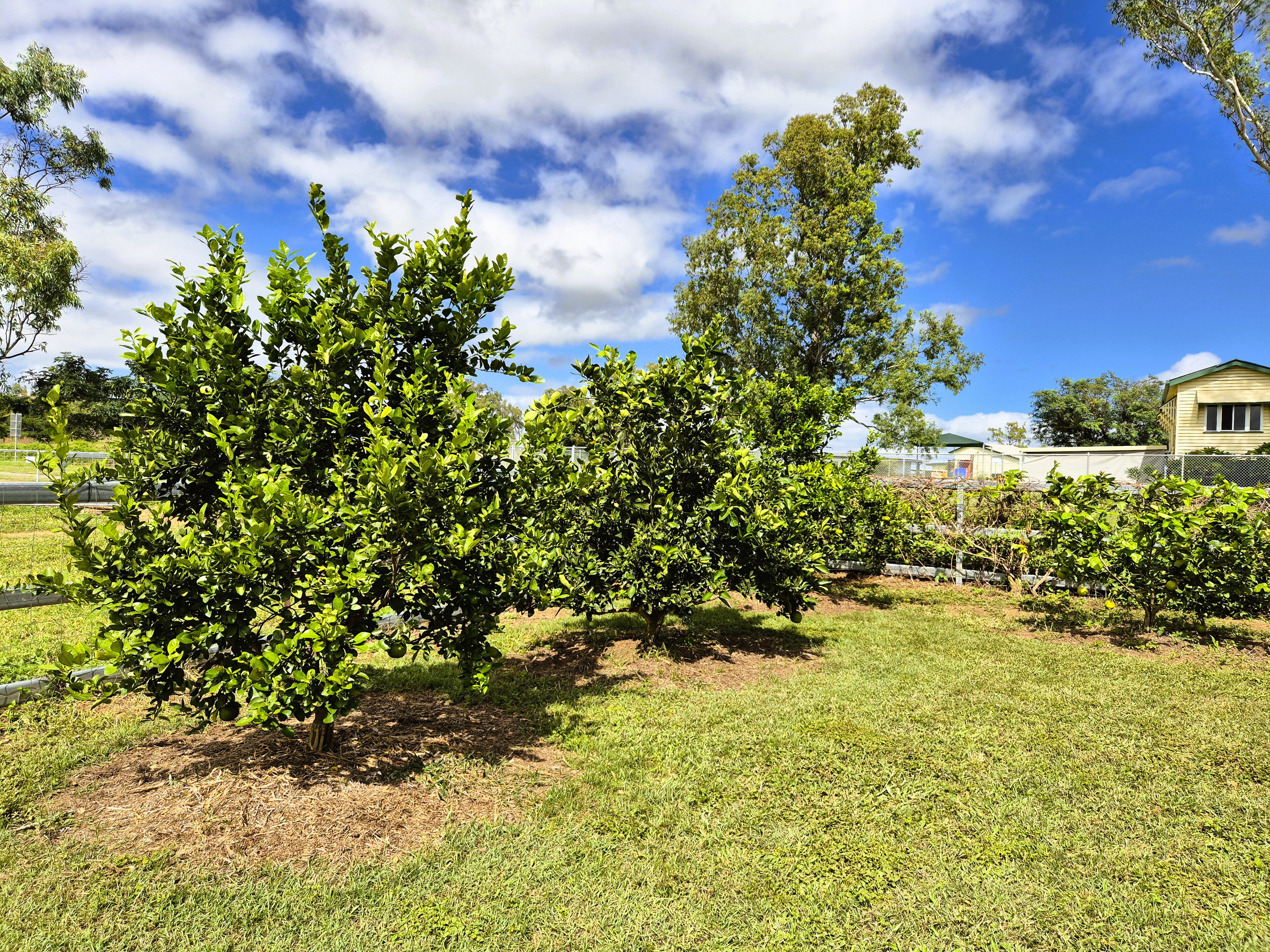 Escape the City - Saddle Up for Serenity