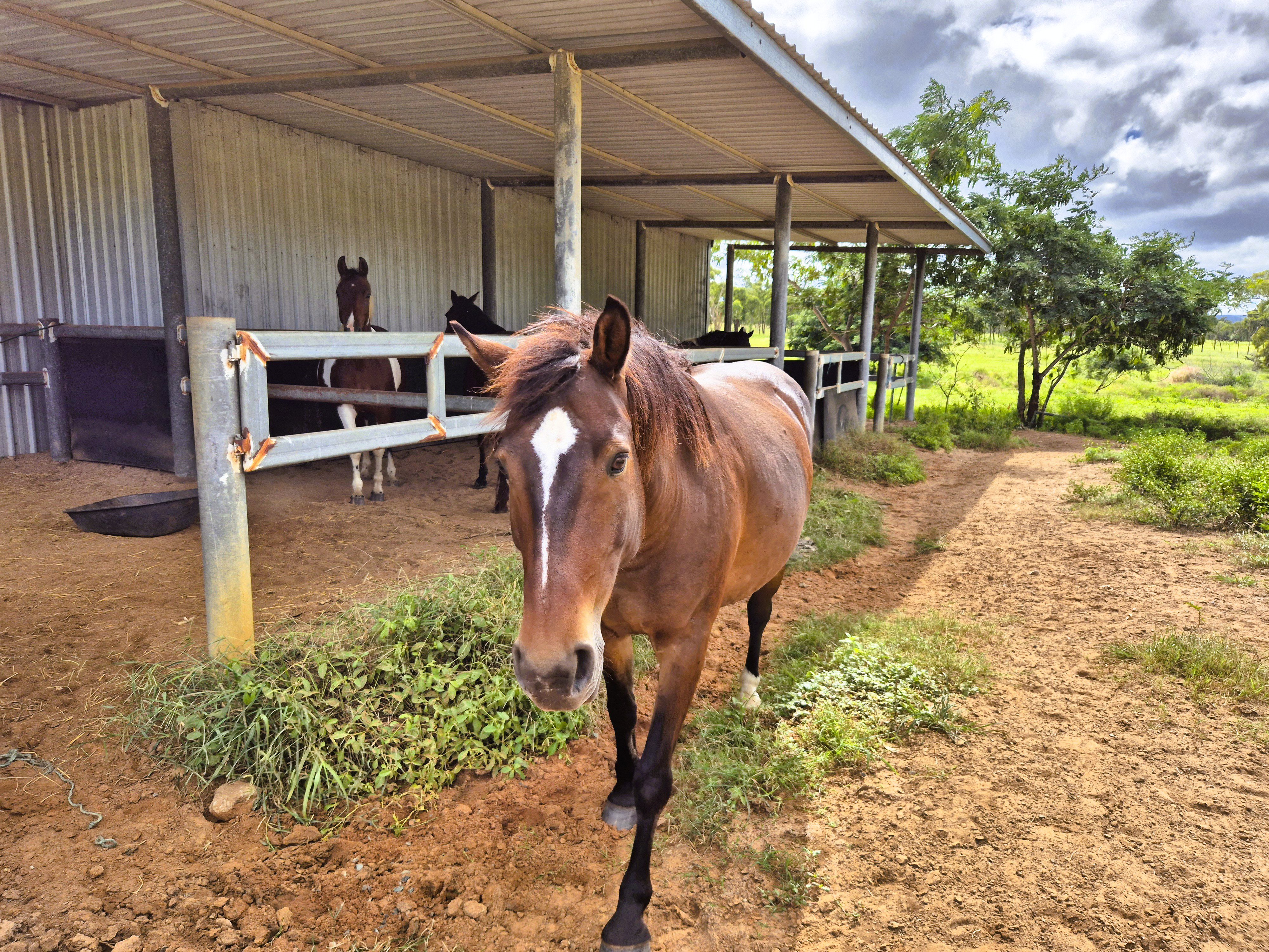 Escape the City - Saddle Up for Serenity