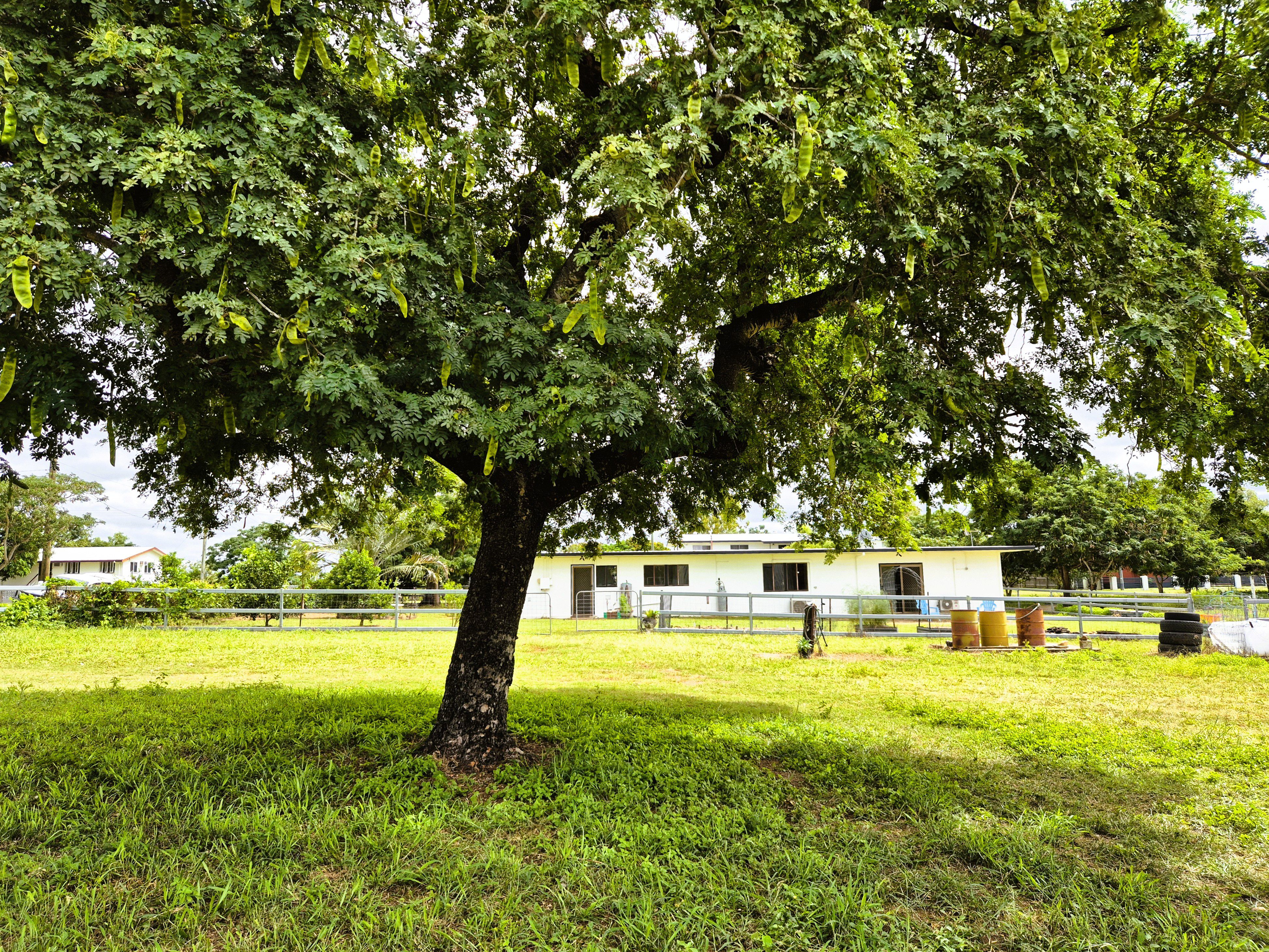 Escape the City - Saddle Up for Serenity