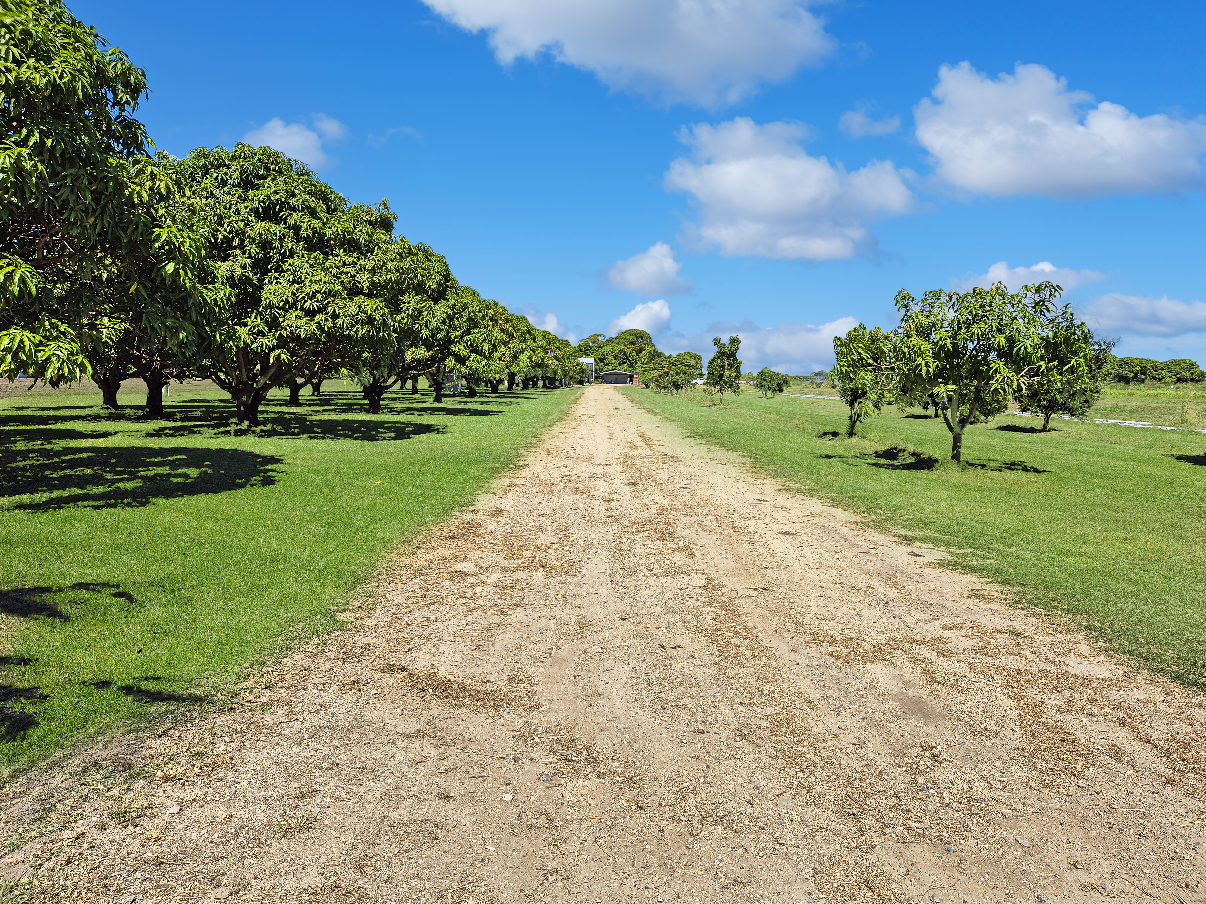 Enjoy Life AND Generate Some Income