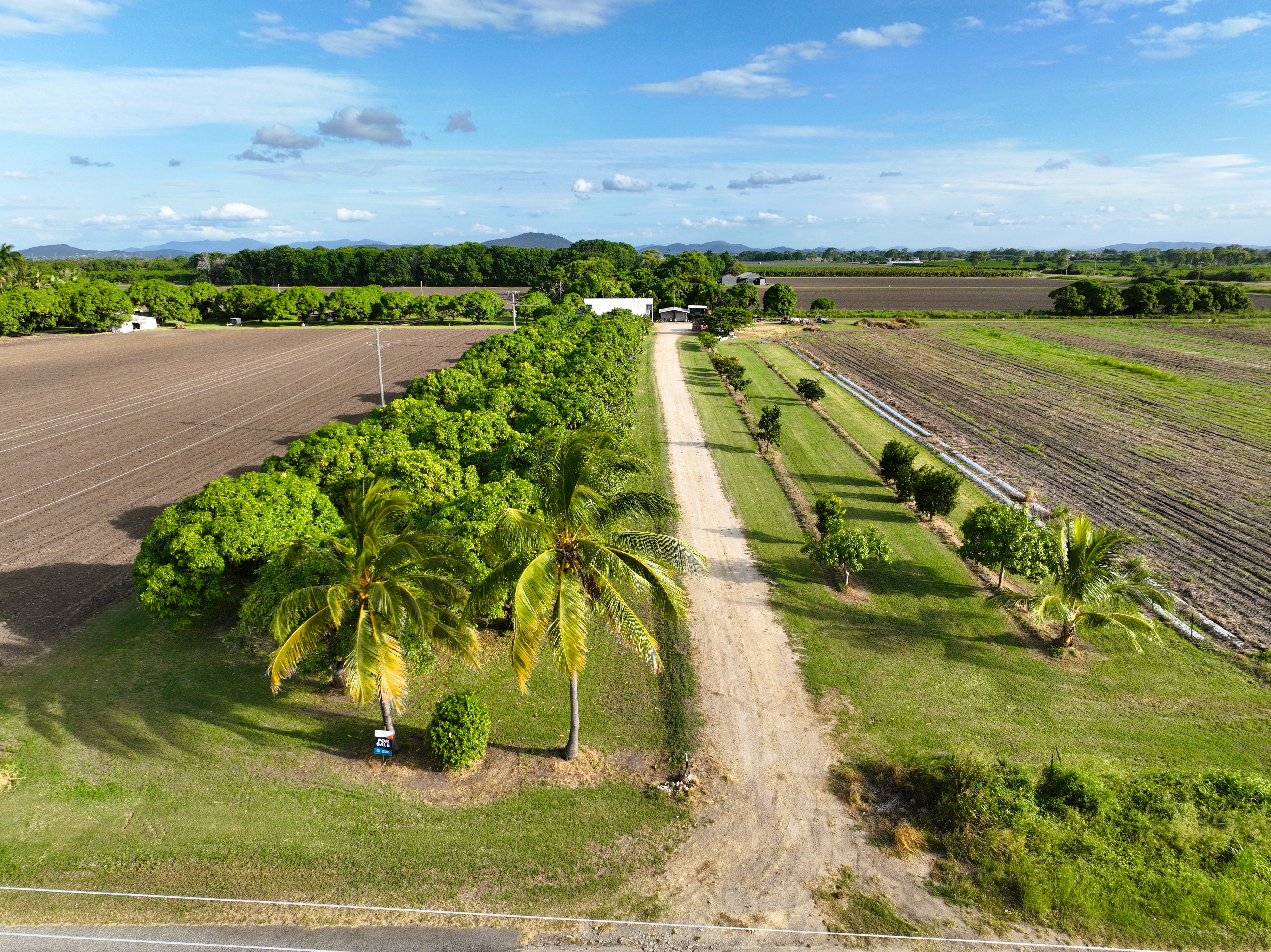 Enjoy Life AND Generate Some Income